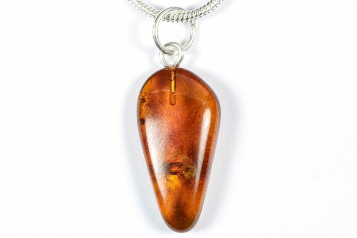 Polished Baltic Amber Pendant (Necklace) - Contains Flies! #357990